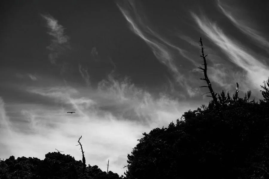 Nikon Nikkor Z 100-400 mm f/4.5-5.6 VR S