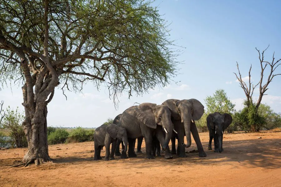 Nikon Nikkor Z 14-30 mm f/4 S