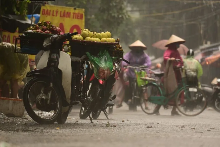 Nikon Nikkor Z DX 50-250 mm f/4.5-6.3 VR