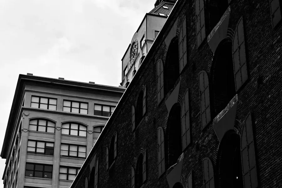 Nikon Nikkor Z DX 50-250 mm f/4.5-6.3 VR