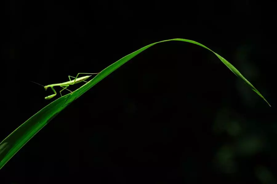 Obiektyw Tamron 150-500 mm f/5-6.7 DI III VC VXD A057 / FujiFilm X