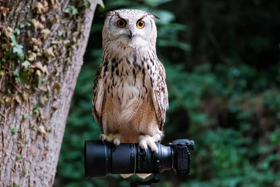 Obiektyw Tamron 150-500 mm f/5-6.7 DI III VC VXD A057 / FujiFilm X