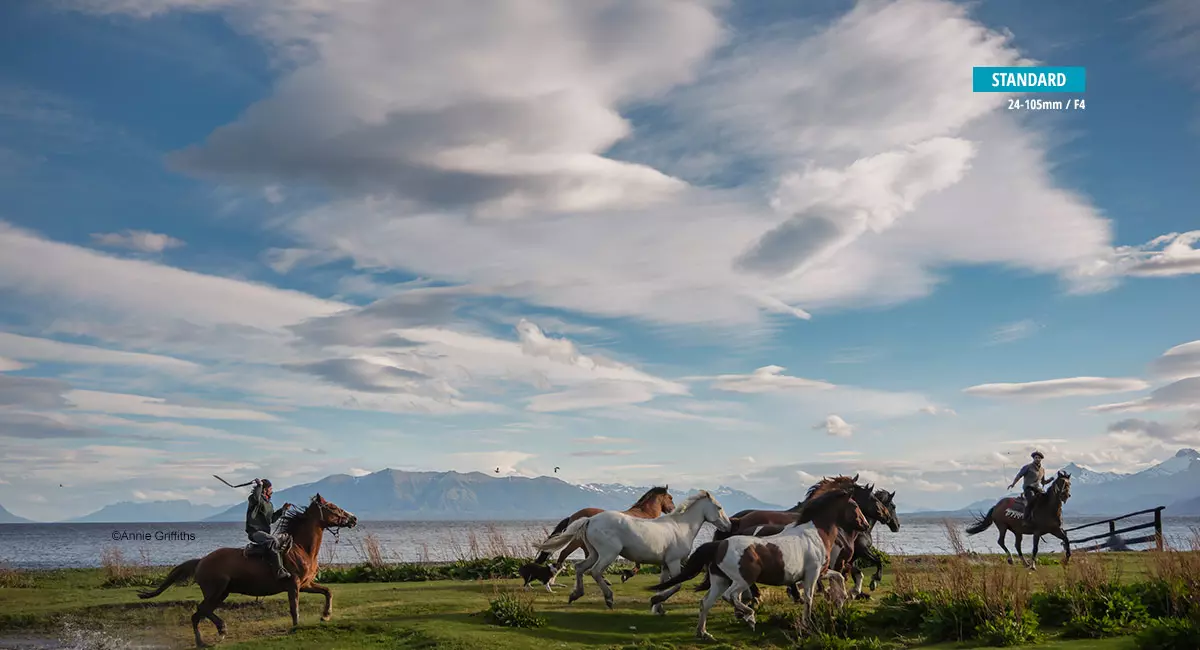 obiektyw-panasonic-lumix-s-24-105-mm-f-4-macro-ois-s-r24105e