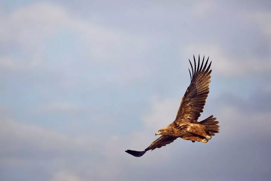 obiektyw-Tamron-SP-150-600-mm-f5-6.3