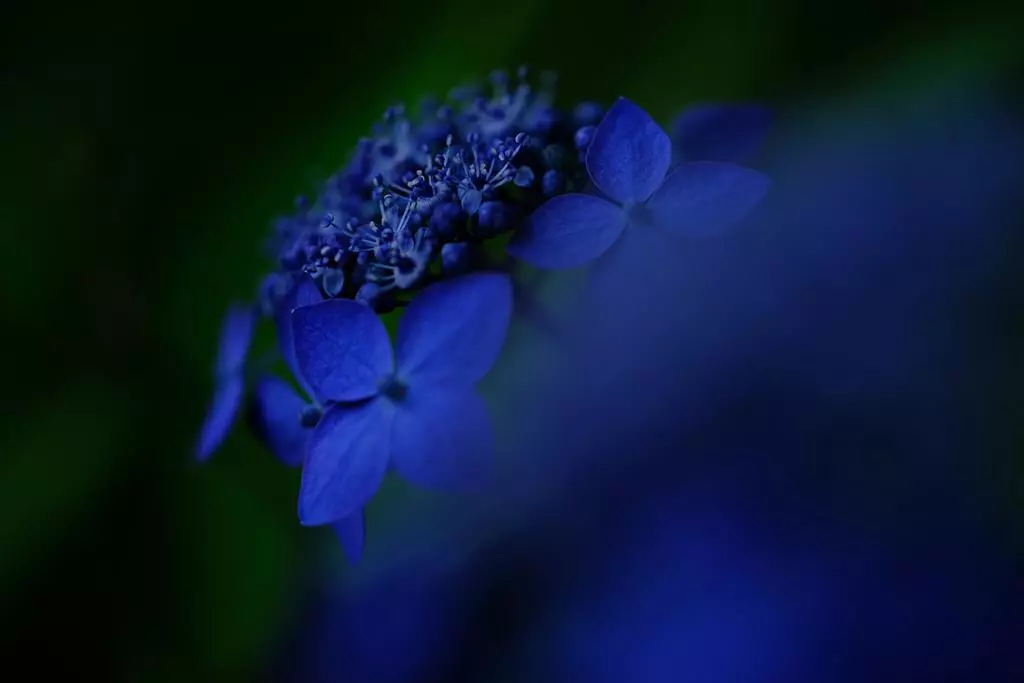 biektyw-fujifilm-fujinon-xf-80-mm-f-2-8-r-lm-ois-wr-macro