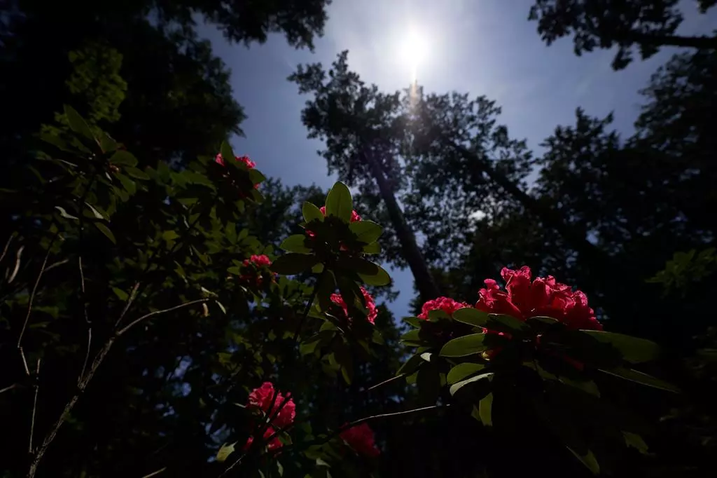 Obiektyw Sigma 14-24 mm f/2.8 DG DN Art / Sony E // Najlepszy szerokokątny obiektyw zoom do bezlusterkowca TIPA 2020 //