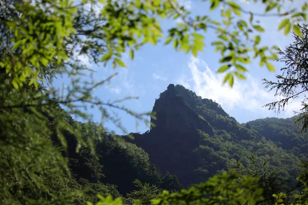 Obiektyw Sigma 150-600 mm f/5-6.3 DG OS HSM Sport / Canon