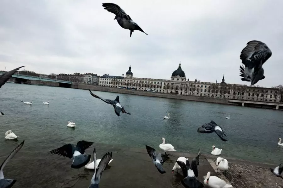 Obiektyw Sigma 17 mm f/4 DG DN Contemporary / Sony E