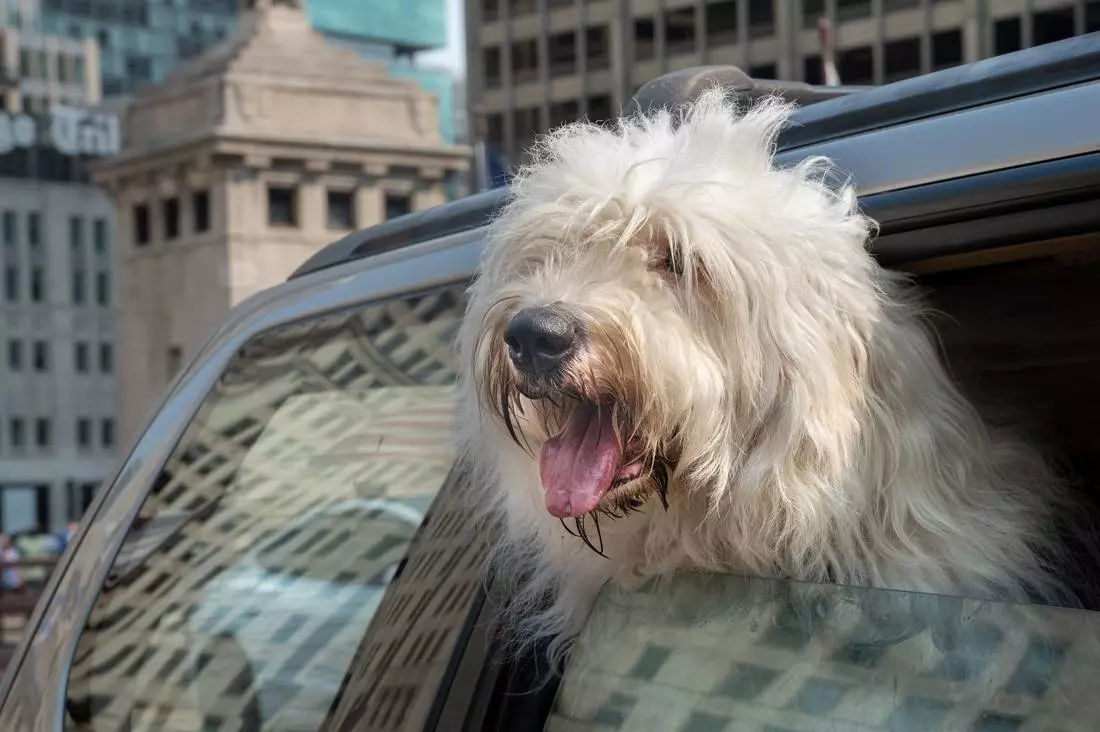 Obiektyw Sigma 18-50 mm f/2.8 DC DN Contemporary / Sony E