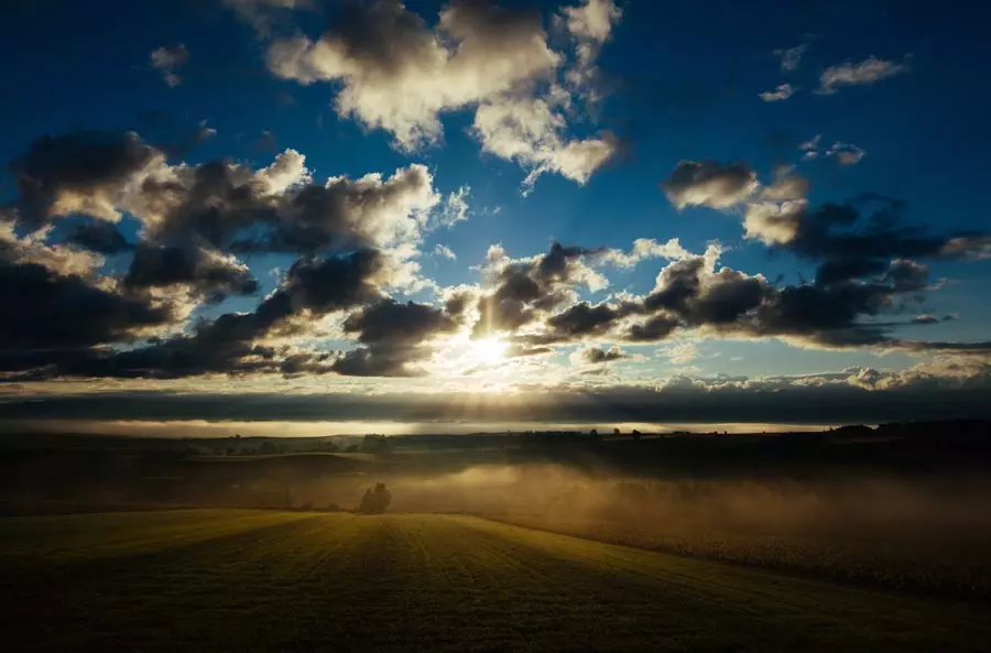 Obiektyw Sigma 20 mm f/2 DG DN Contemporary / Sony E