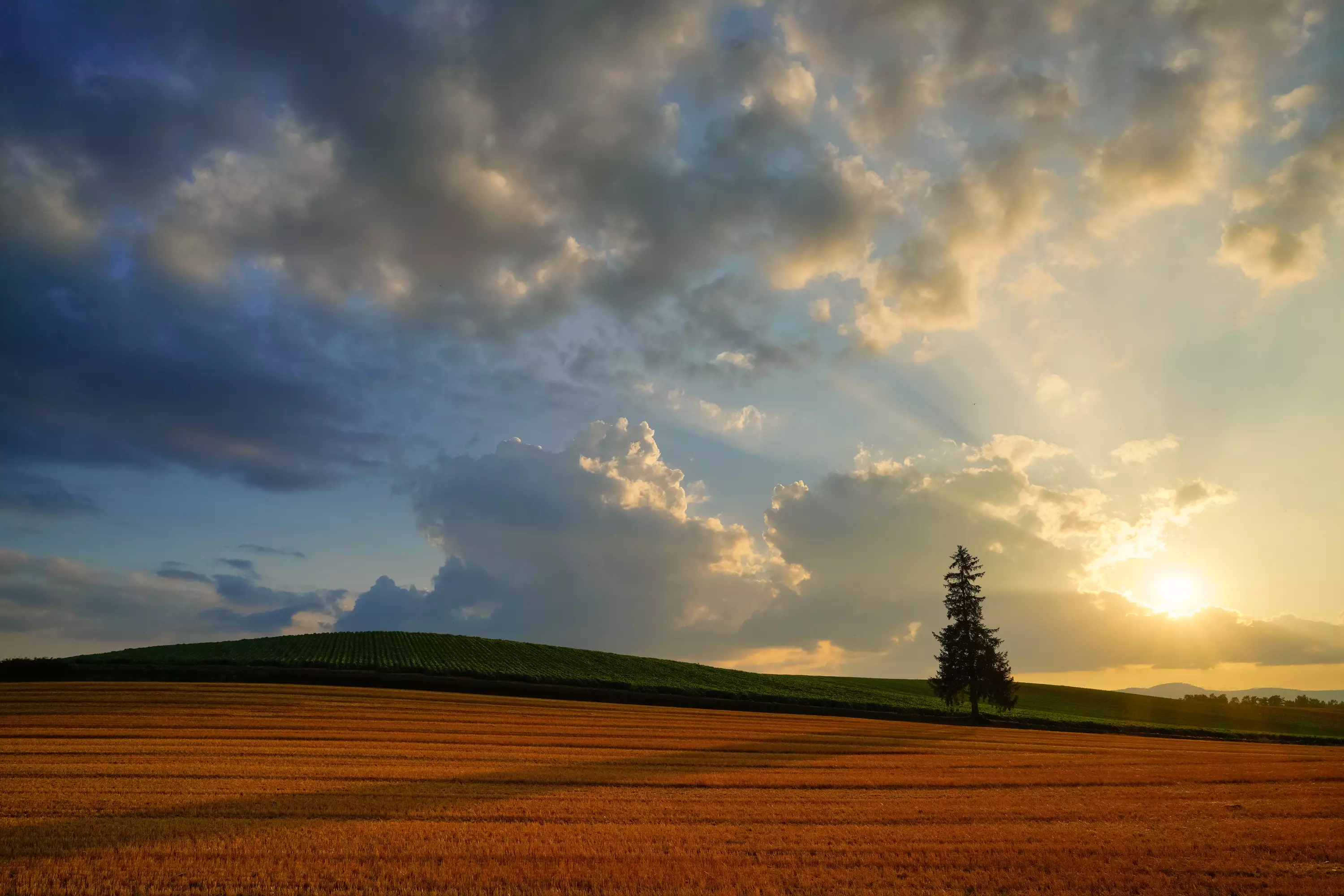 Obiektyw Sigma 24mm f/2 DG DN Contemporary / Sony E