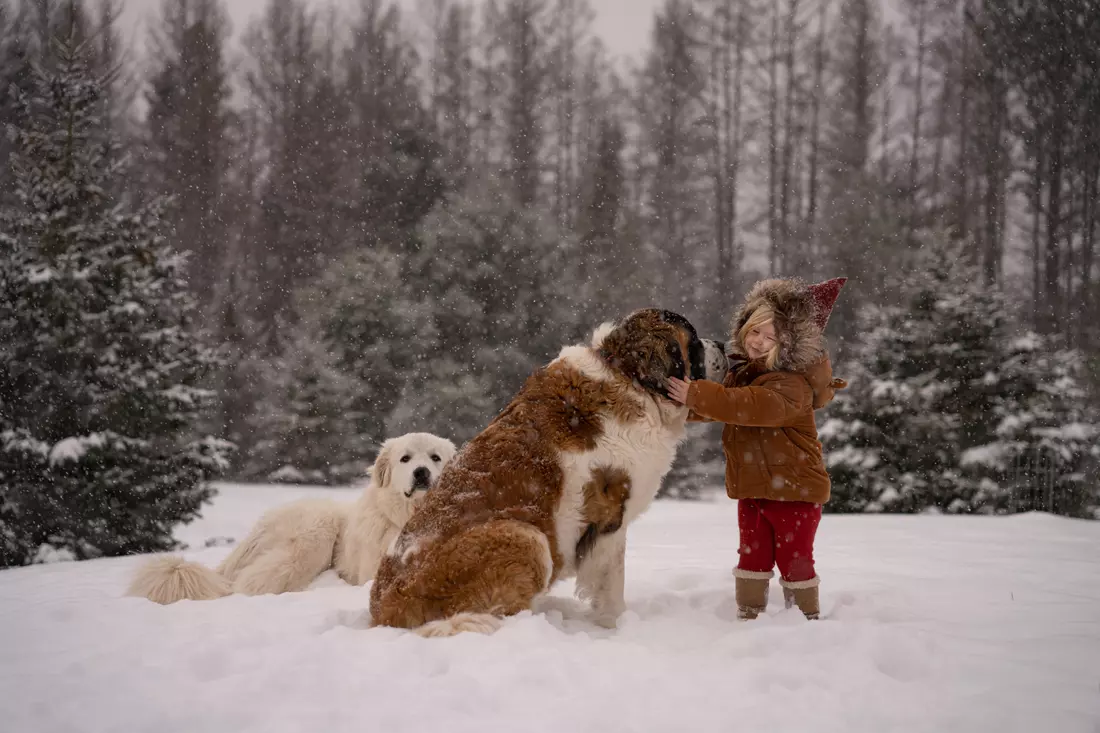 Obiektyw Sigma 28-70 mm f/2.8 DG DN Contemporary / Sony E