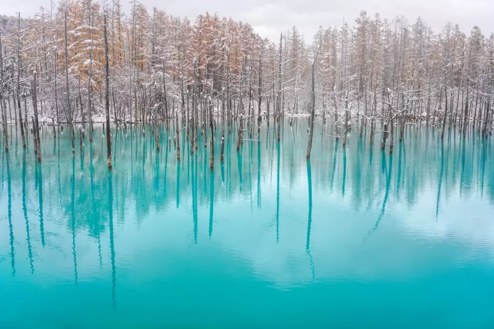 Obiektyw Sigma 35 mm f/2.0 DG DN Contemporary / Sony E