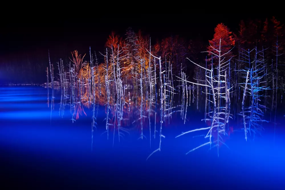 Obiektyw Sigma 35 mm f/2.0 DG DN Contemporary / Sony E