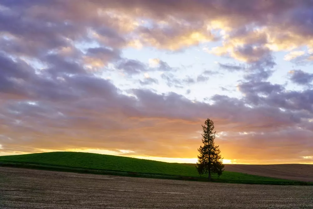 Obiektyw Sigma 35 mm f/2.0 DG DN Contemporary / Sony E