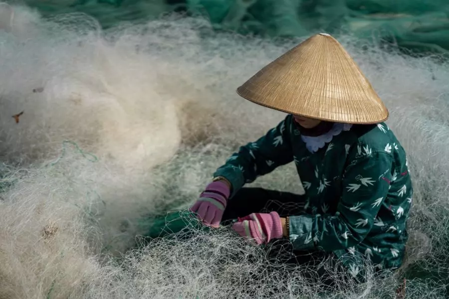 Obiektyw Sigma 50 mm f/2 DG DN Contemporary / Sony E