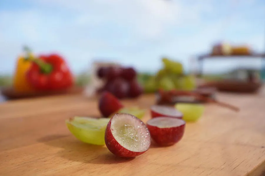 Sony E 10-20 mm f/4 PZ G