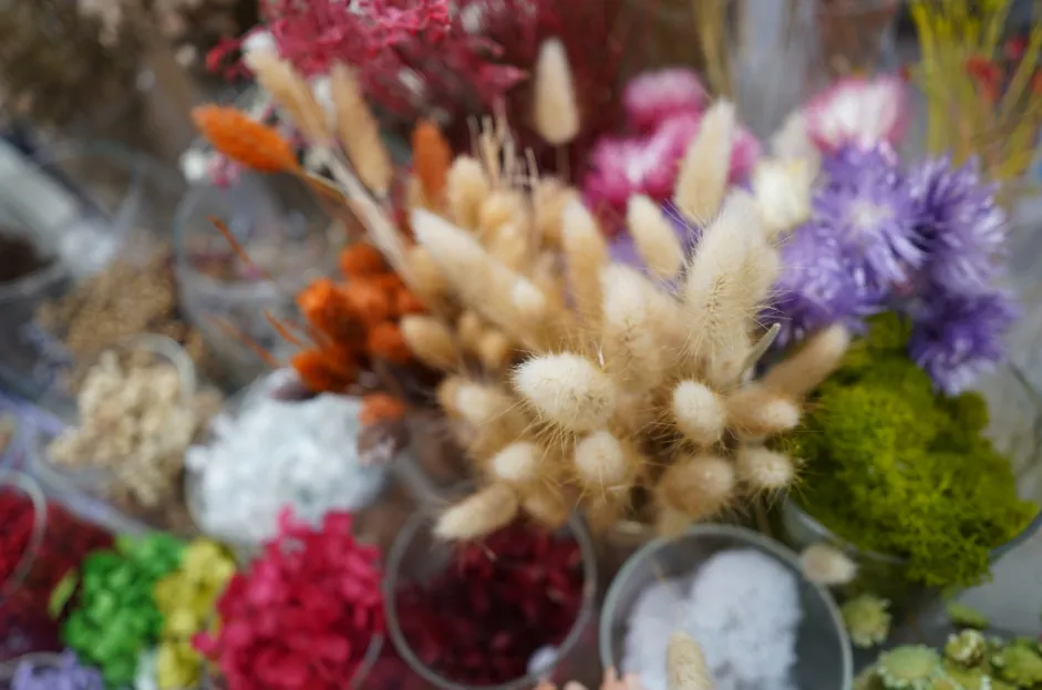 Sony FE 24 mm f/2.8 G