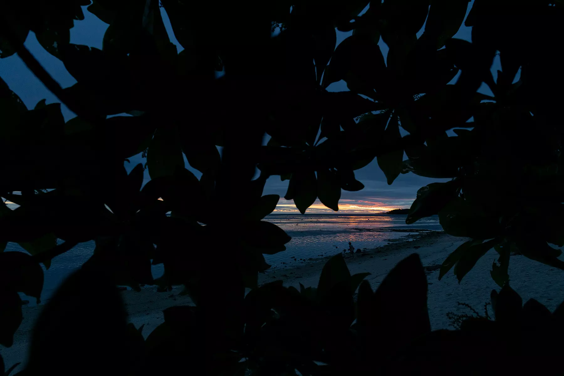 Obiektyw Tamron 24 mm f/2.8 Di III OSD M1:2 F051 / Sony E