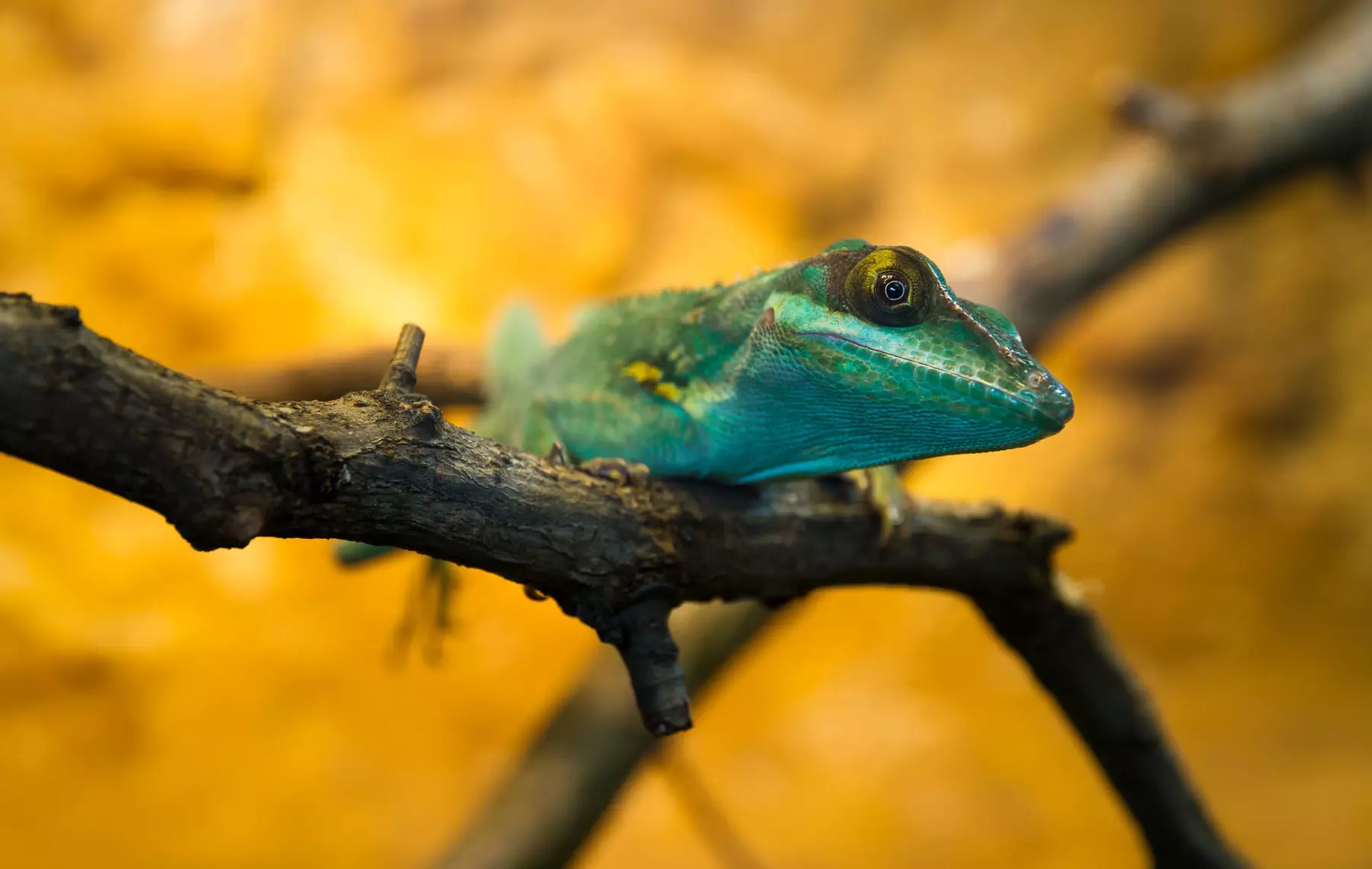 pierscien-posredni-fujifilm-mcex-18g-wr-macro-extension-tube