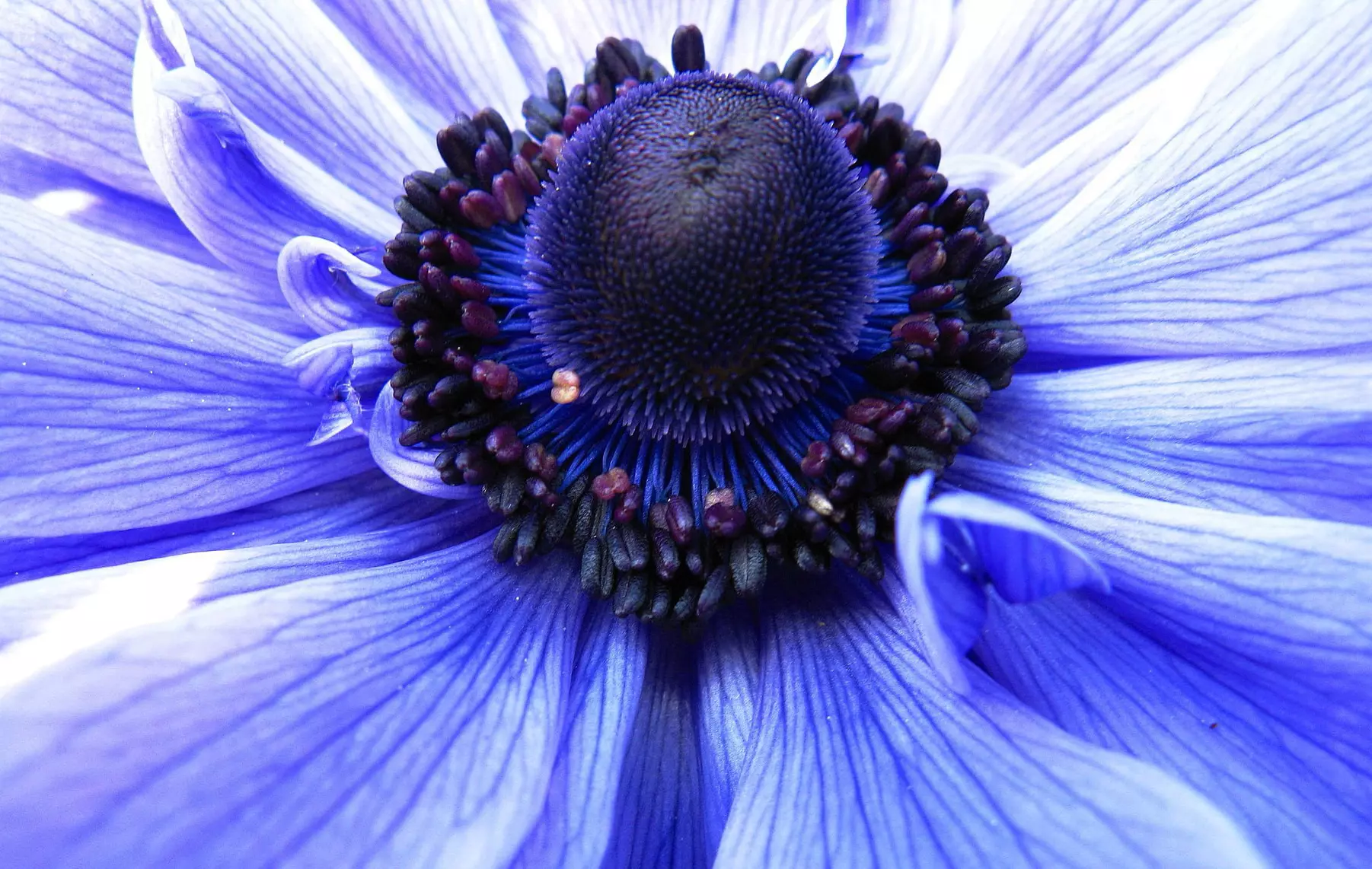 pierscien-posredni-fujifilm-mcex-45g-wr-macro-extension-tube