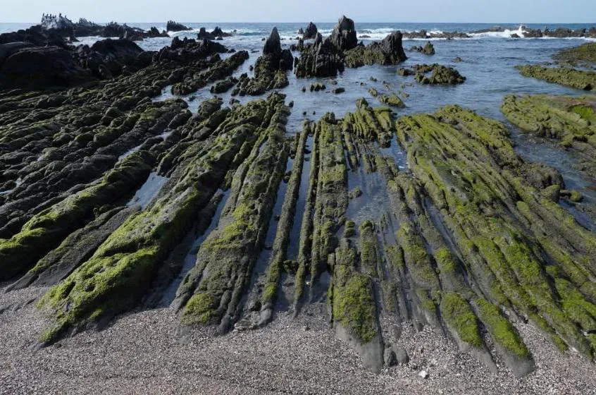 Sony E 15 mm f/1.4 G (SEL15F14G.SYX