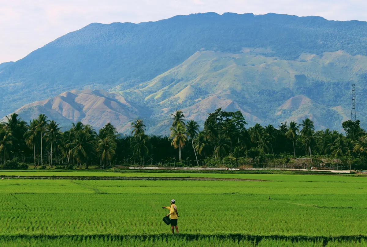 Sony E 18-200 mm f/3.5-6.3 OSS LE (SEL18200LE.AE)