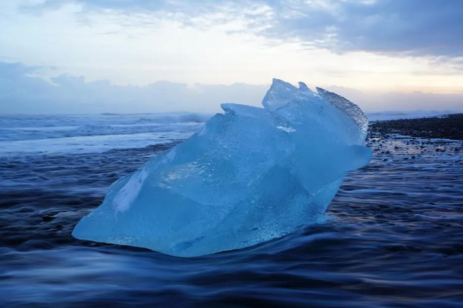 Sony FE 24-70 mm f/2.8 GM