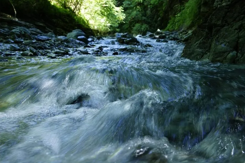 Sony Zeiss Vario-Tessar T* FE 24-70 mm f/4 ZA OSS