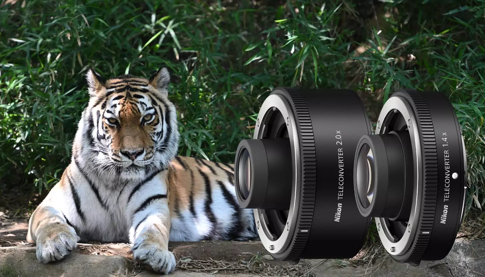 Telekonwerter Nikon Z TC-2.0x
