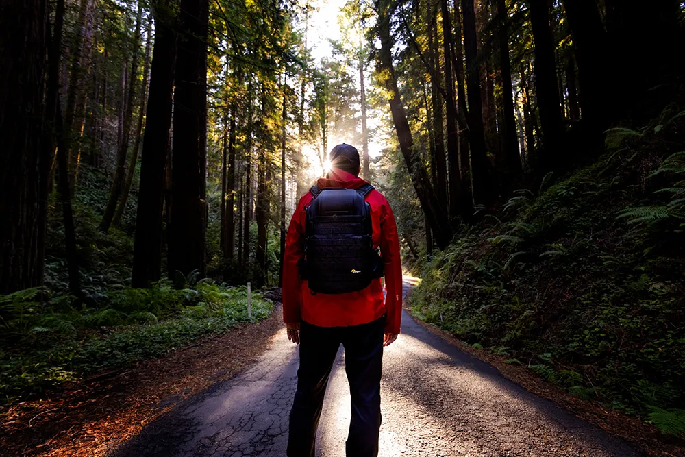 Plecak fotograficzny Lowepro ProTactic BP 450 AW II czarny