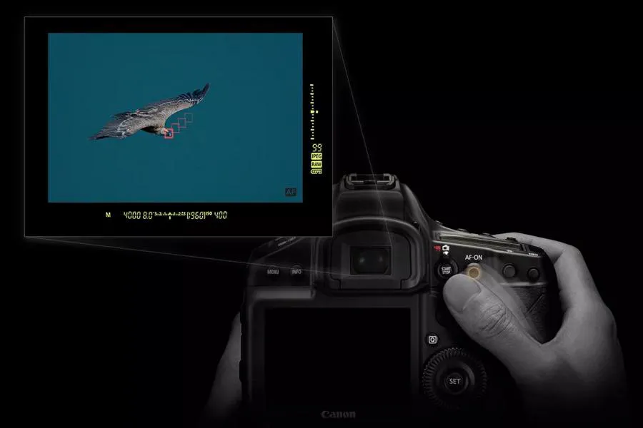Canon EOS-1D X Mark III
