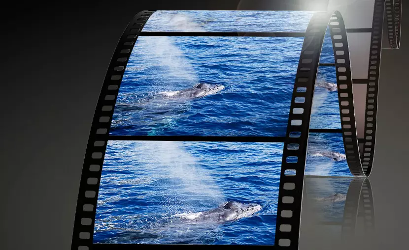 obiektyw-panasonic-lumix-g-x-vario-35-100-mm-f-2-8-ii-power-o-i-s-h-hsa35100