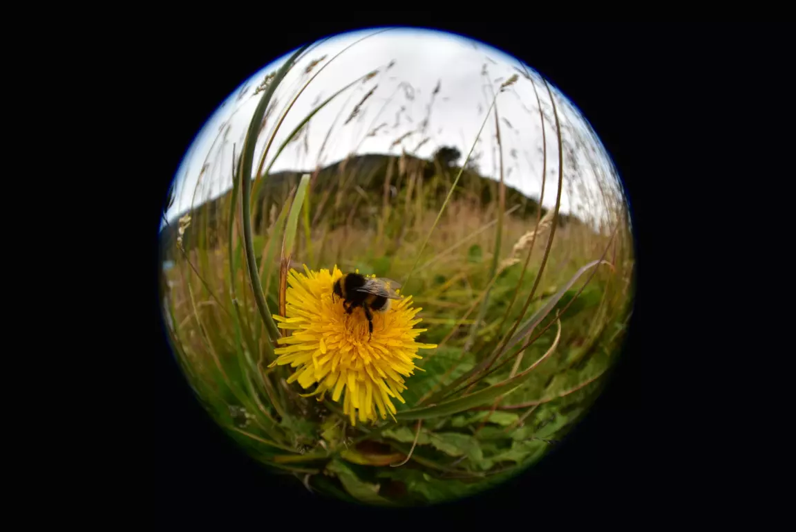 obiektyw-nikon-nikkor-8-15-mm-f-3-5-4-5-e-ed-fisheye