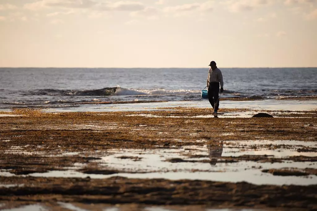 obiektyw-sigma-70-200-mm-f-2-8-dg-os-hsm-sport-nikon