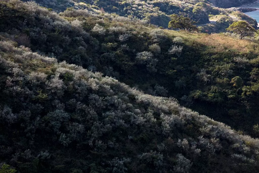 obiektyw-sigma-70-200-mm-f-2-8-dg-os-hsm-sport-nikon