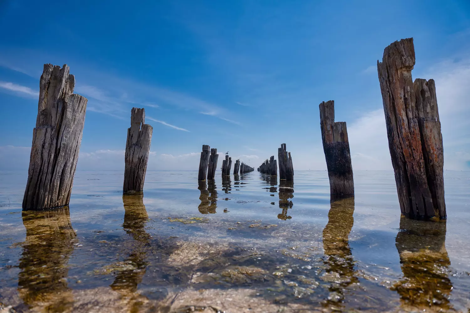 obiektyw-tamron-s-11-20-mm-f-2-8-di-iii-a-rxd