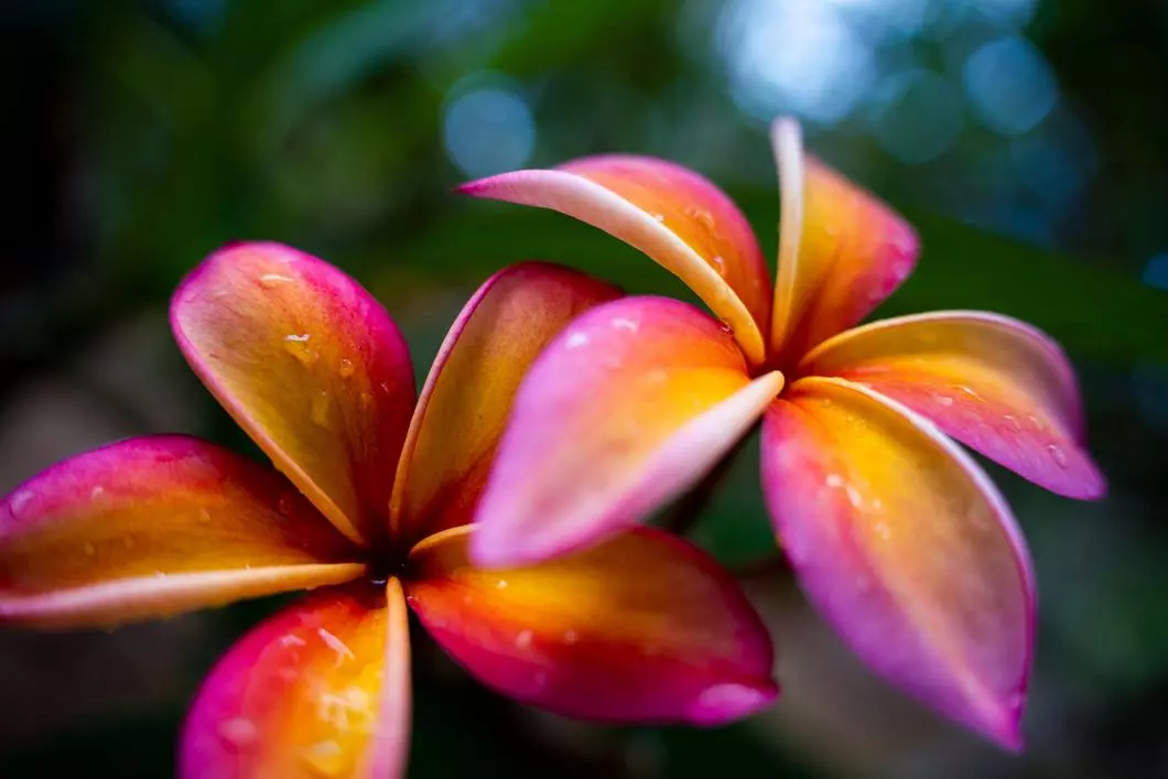 obiektyw-tamron-28-75-mm-f-2-8-di-iii-vxd-g2-a063s-sony-e