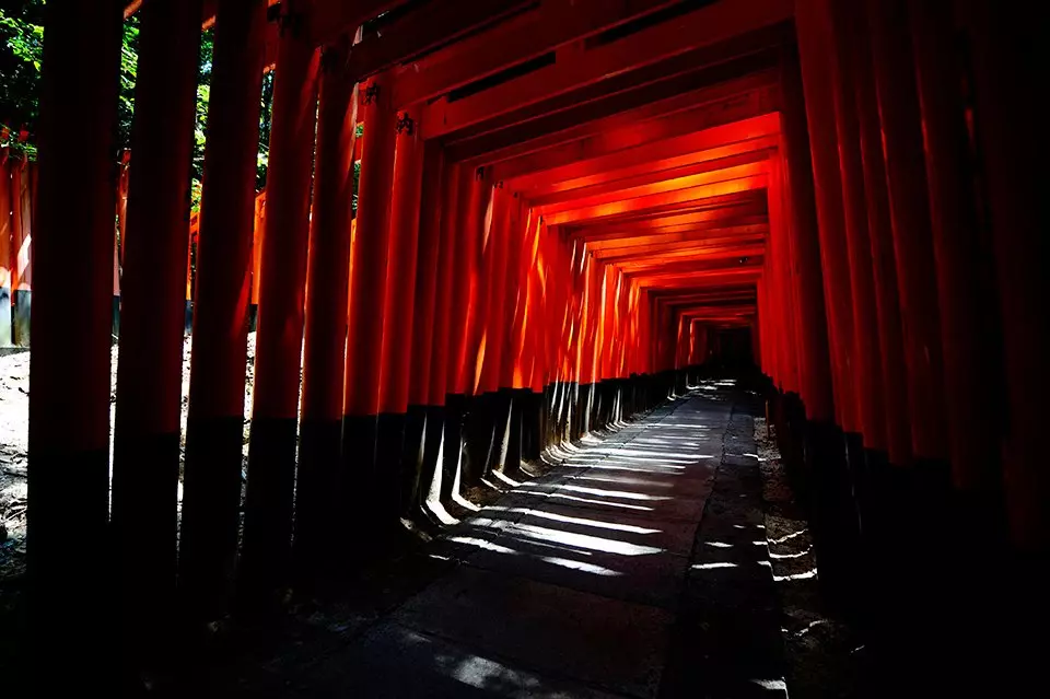 obiektyw-nikon-nikkor-14-24-mm-f-2-8g-ed