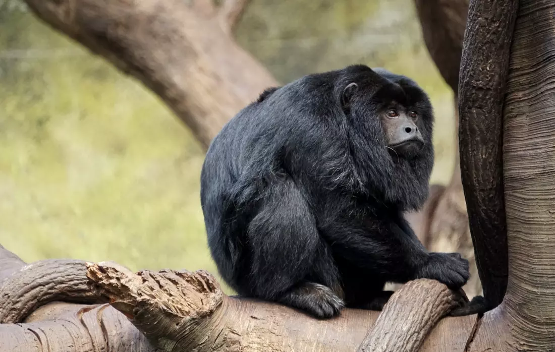 obiektyw-panasonic-45-150-mm-f-4-5-6-asph-mega-ois-hd-czarny