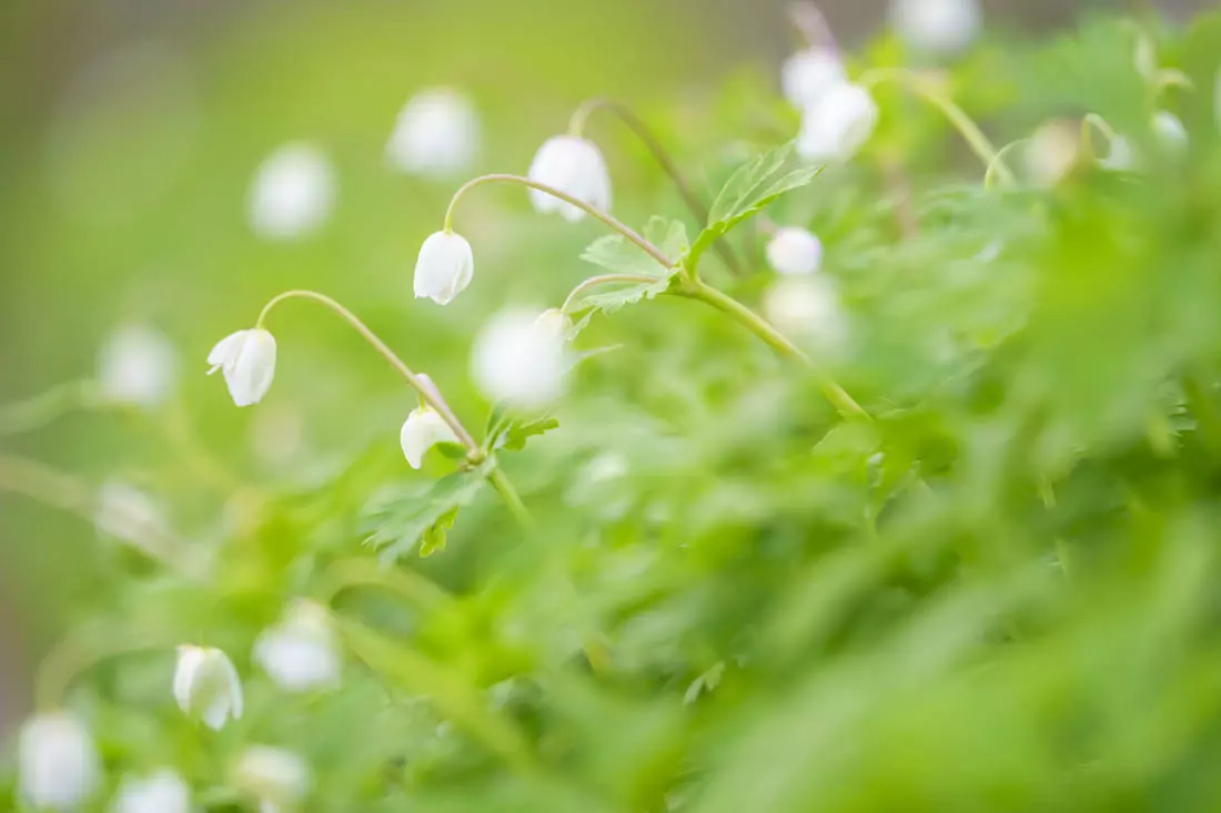 obiektyw-sigma-100-400-mm-f-5-6-3-dg-dn-os-contemporary-sony-e