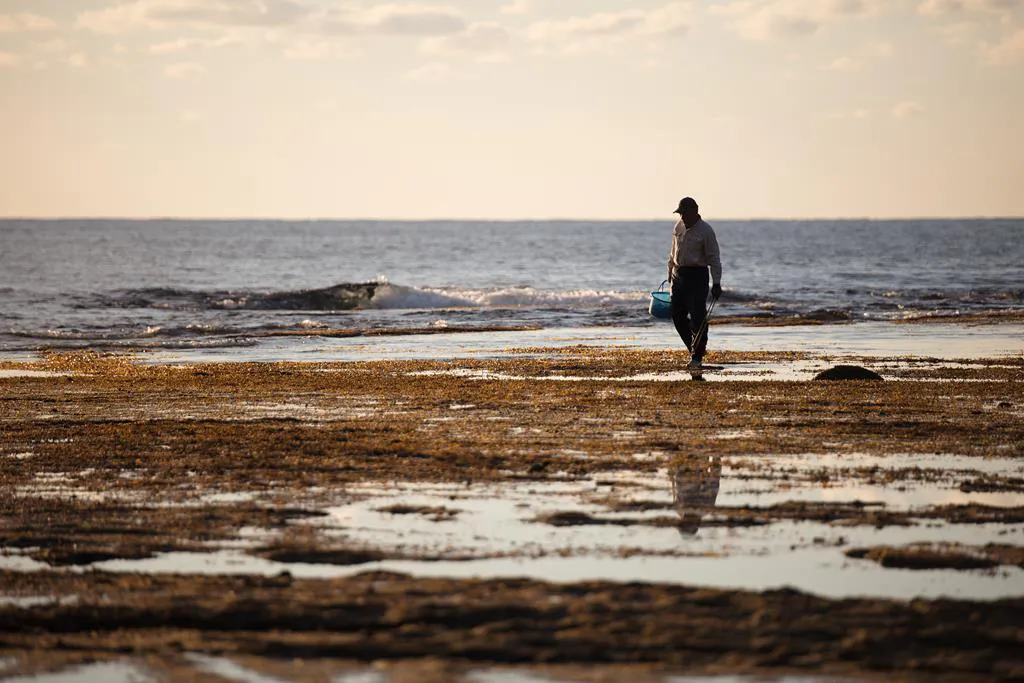 Obiektyw Sigma 70-200 mm f/2.8 DG OS HSM Sport / Canon