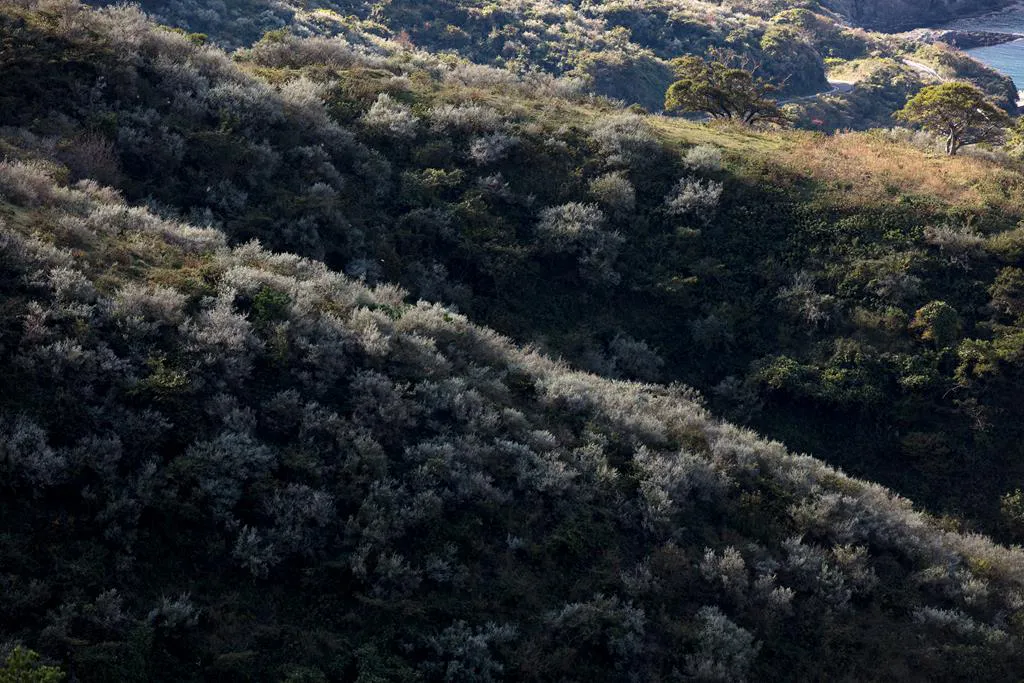 Obiektyw Sigma 70-200 mm f/2.8 DG OS HSM Sport / Canon