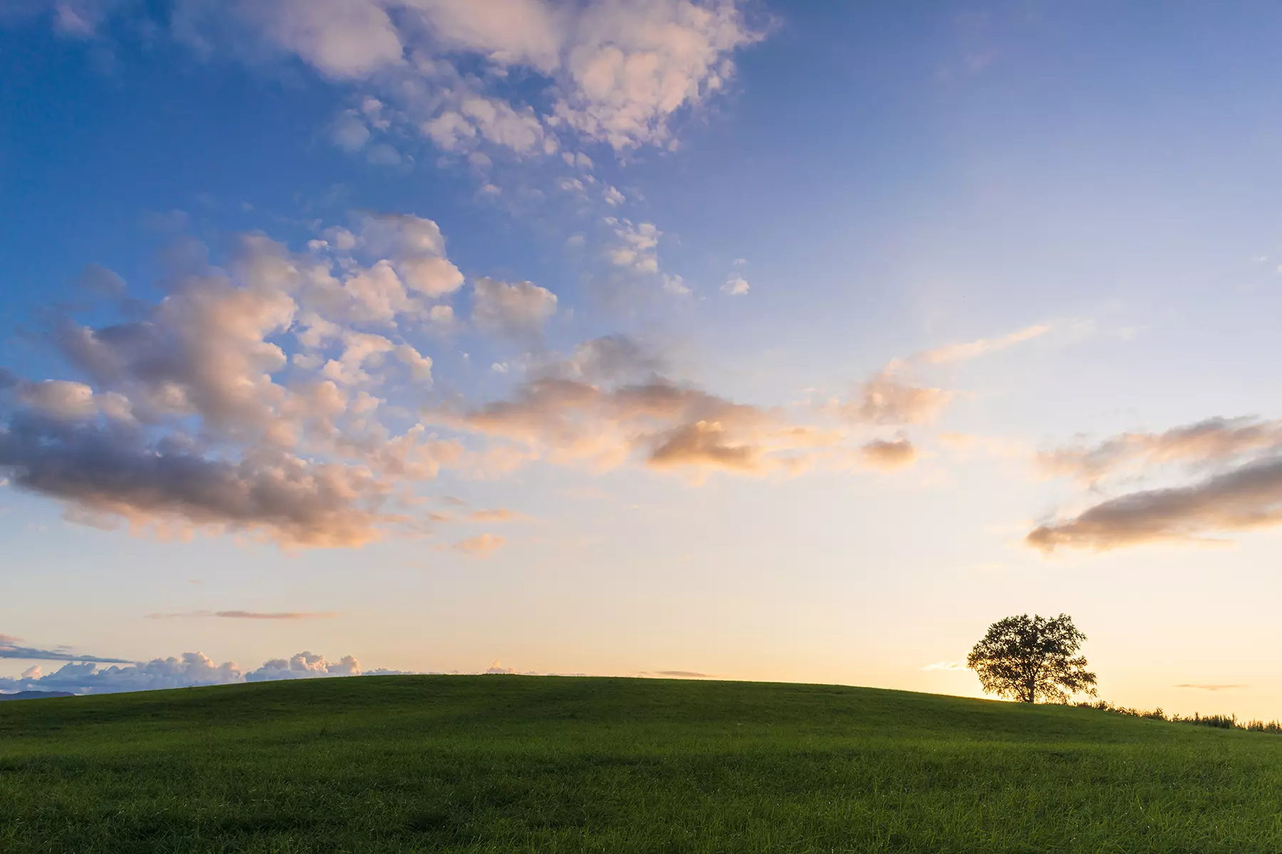 obiektyw-tamron-20-mm-f-2-8-di-iii-osd-m1-2-f050-sony-e