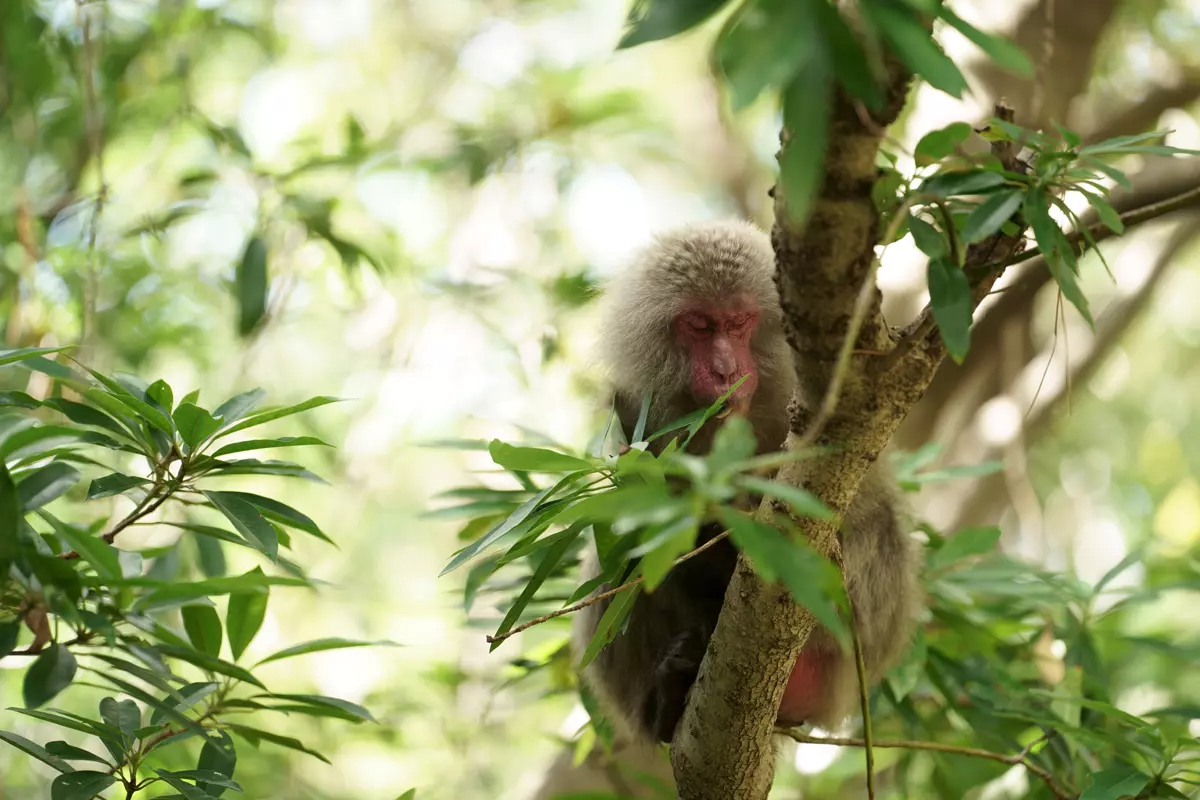 obiektyw-tamron-70-180mm-f-2-8-di-iii-vxd-a056-sony