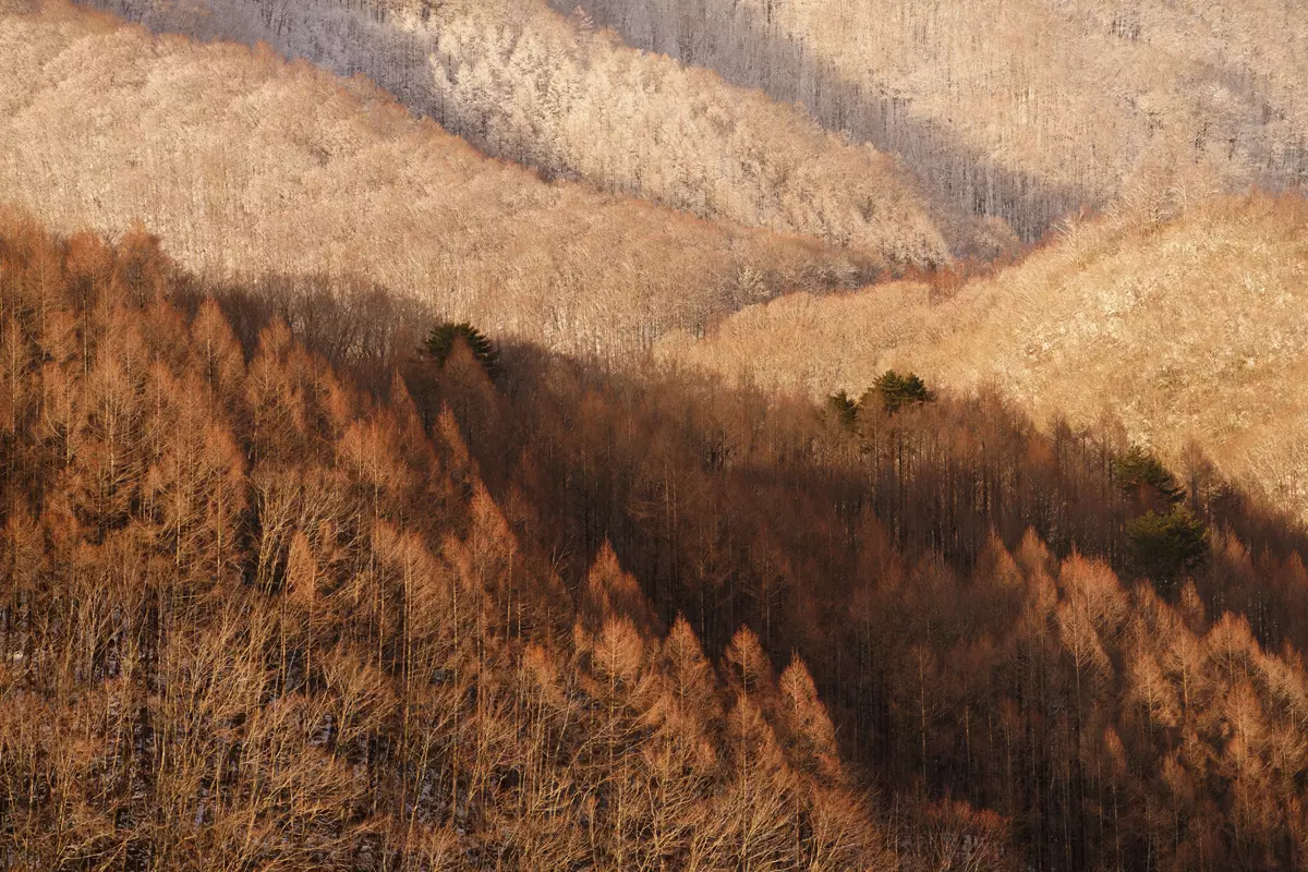 obiektyw-tamron-70-180mm-f-2-8-di-iii-vxd-a056-sony