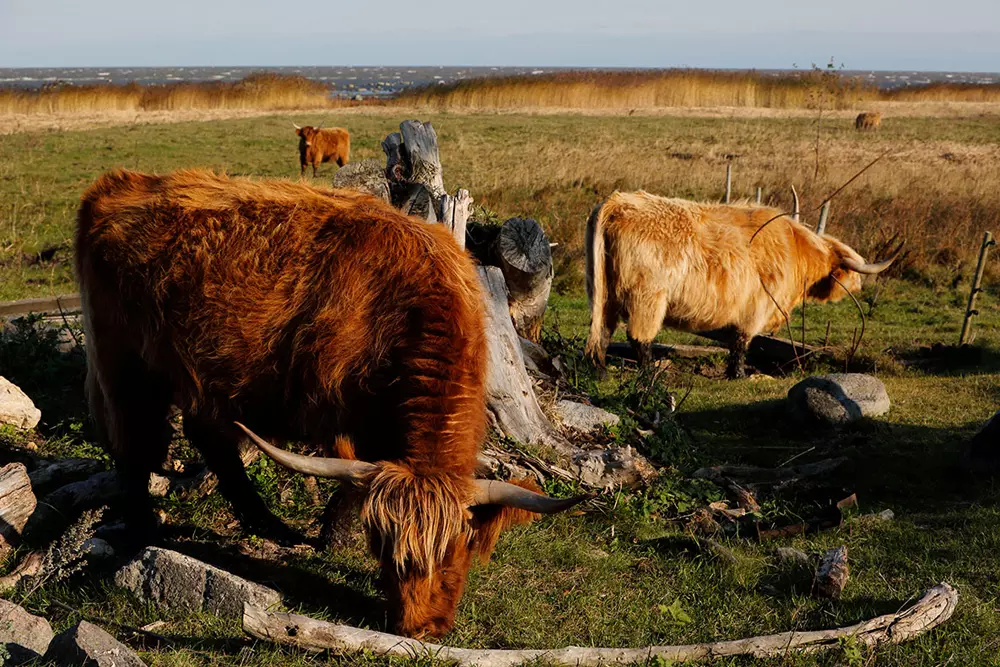 obiektyw-tamron-sp-70-200-mm-f-2-8-di-vc-usd-g2-a025n-niko