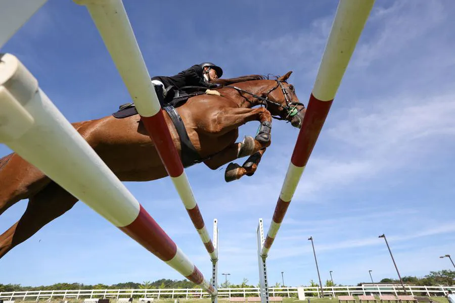 Canon EOS R6 Mark II + RF 24-105 mm f/4-7.1 IS STM