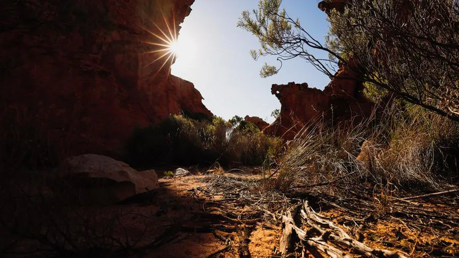 Canon EOS RP + RF 24-240 mm f/4-6.3 IS USM