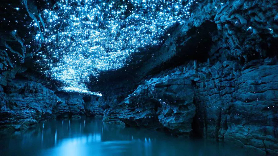 Canon EOS RP + RF 24-240 mm f/4-6.3 IS USM